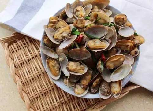 文蛤苗種生產(chǎn)及養(yǎng)殖方法