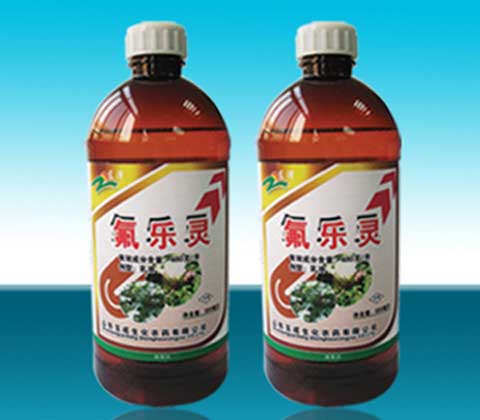 怎樣在菜田使用氟樂(lè)靈除草？有哪些注意事項(xiàng)