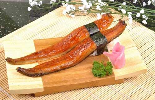 鰻魚的營(yíng)養(yǎng)價(jià)值及鰻魚養(yǎng)殖需要注意的問(wèn)題