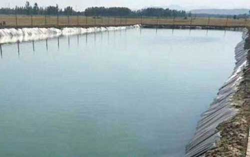 養(yǎng)魚池埂防滲水有哪些辦法