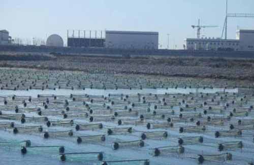 鮑魚養殖育苗技術及孤菌病防治方法