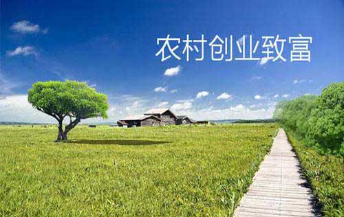 適合農村創業及家庭工廠發展的項目