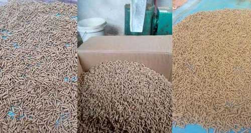 飼料加工——農家可以自制的七中飼料