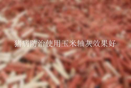 豬病防治使用玉米軸灰效果好