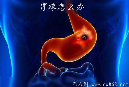 胃疼怎么辦|有沒有快速止痛的辦法