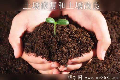 土壤知識——為什么要做好土壤修復和土壤改良