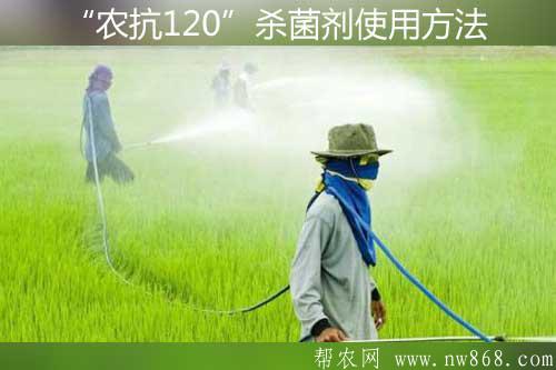 廣譜性生物農藥——“農抗120”殺菌劑使用方法及注意事項