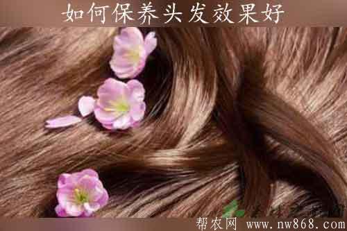 頭發稀少怎么辦|如何保養頭發效果好