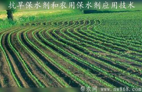抗旱保水劑和農用保水劑應用技術