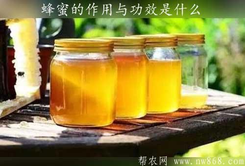 蜂蜜的作用與功效是什么|蜂蜜營養(yǎng)價值和醫(yī)用價值