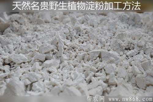 天然名貴野生植物淀粉加工方法