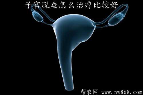 子宮脫垂怎么治療比較好|骨頭湯真的能補鈣嗎
