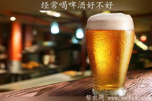 經常喝啤酒好不好？啤酒酒精度是多少