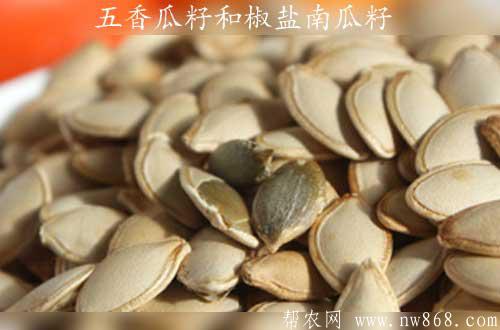 五香瓜籽和椒鹽南瓜籽制作方法