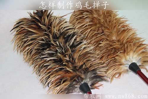 雞毛撣子什么毛最好？怎樣制作