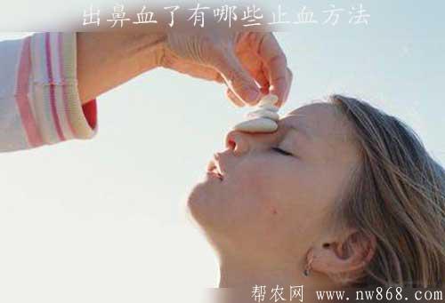 出鼻血了有哪些止血方法