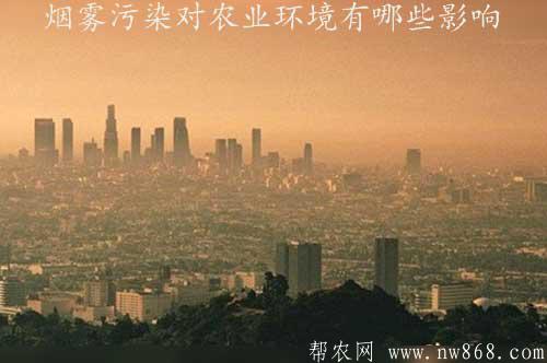煙霧污染對農業環境有哪些影響