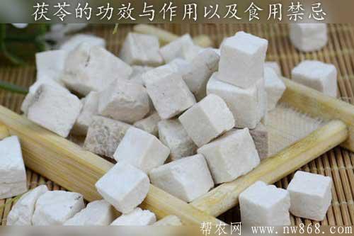 茯苓的功效與作用以及食用禁忌