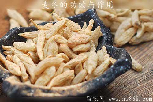 麥冬的功效與作用以及麥冬圖片欣賞