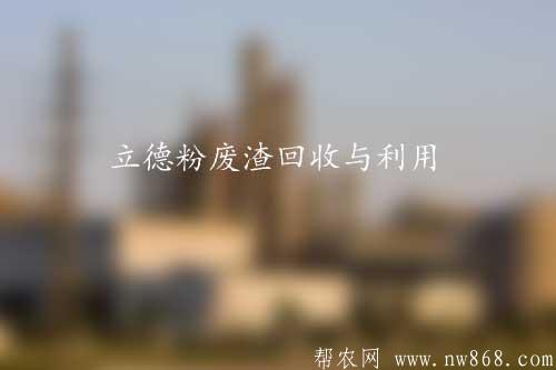 立德粉廢渣回收與利用
