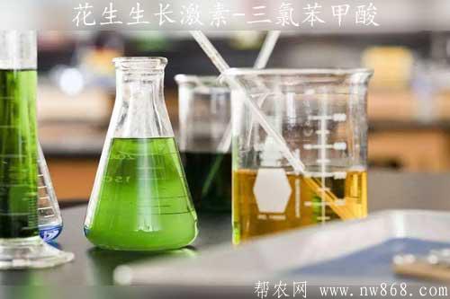 花生生長激素-三氯苯甲酸