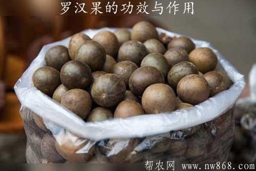 羅漢果的功效與作用以及食用注意事項