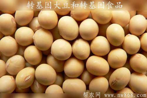 轉基因大豆和轉基因食品