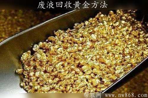從電子工廠廢液回收黃金方法