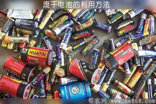 廢干電池的利用方法