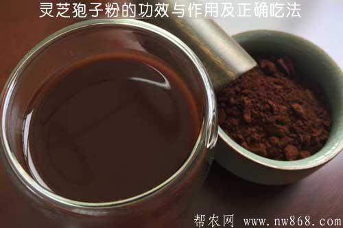 靈芝孢子粉的功效與作用及正確吃法