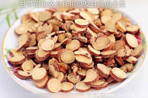 甘草的功效與作用以及甘草的分類