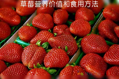 草莓營(yíng)養(yǎng)價(jià)值和食用方法