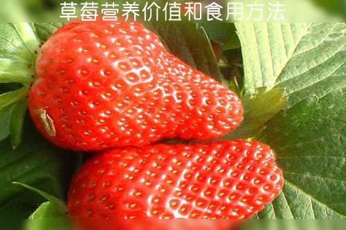 草莓營(yíng)養(yǎng)價(jià)值和食用方法