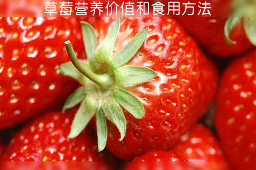 草莓營(yíng)養(yǎng)價(jià)值和食用方法