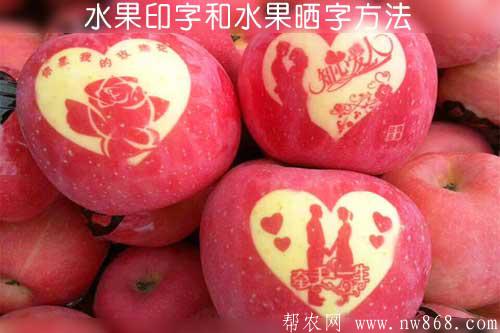 水果印字和水果曬字方法
