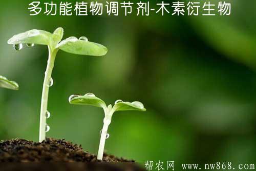 多功能植物調節劑-木素衍生物
