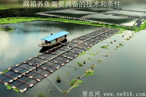 網(wǎng)箱養(yǎng)魚需要具備的技術(shù)和條件