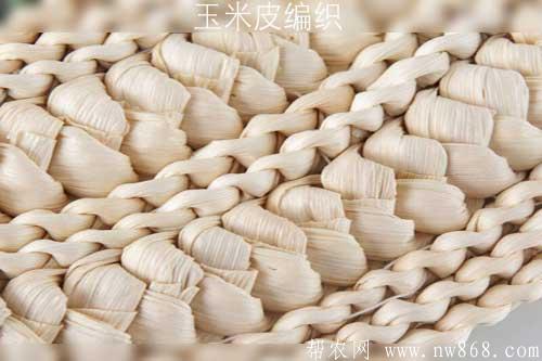 玉米皮編織——纏扣編織法和釘鋸編織法