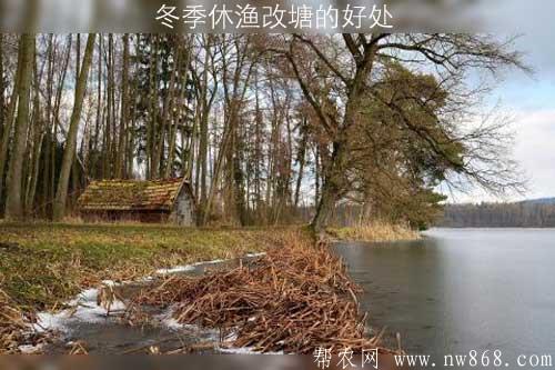 冬季休漁改塘的好處