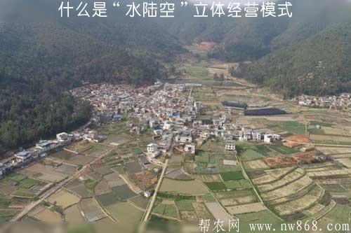 什么是“水陸空”立體經(jīng)營模式