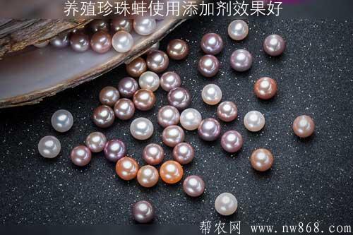 養殖珍珠蚌?使用添加劑效果好