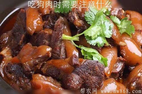 吃狗肉時需要注意什么