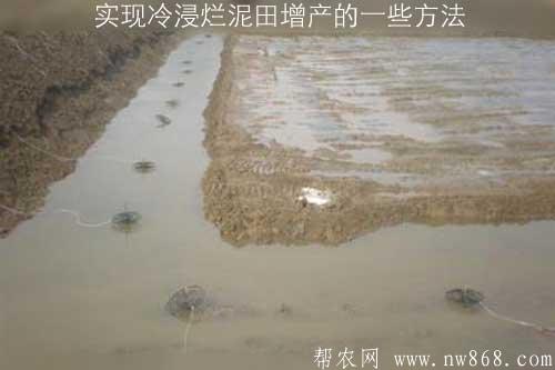 實現冷浸爛泥田增產的一些方法