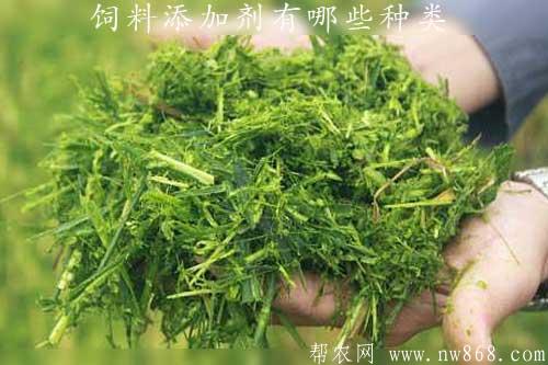 飼料添加劑有哪些種類?如何選用才能取得好的效果 飼料添加劑有哪些種類?如何選用才能取得好的效果