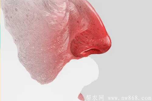 痤瘡|酒糟鼻|扁平疣|尋常疣|傳染性軟疣|尖銳濕疣 痤瘡|酒糟鼻|扁平疣|尋常疣|傳染性軟疣|尖銳濕疣