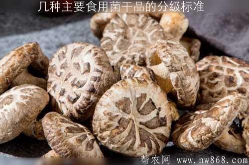幾種主要食用菌干品的分級標準 幾種主要食用菌干品的分級標準