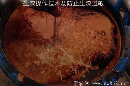 生漆操作技術及防止生漆過敏 生漆操作技術及防止生漆過敏