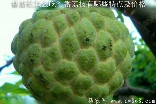番荔枝怎么吃？番荔枝有哪些特點(diǎn)及價(jià)格
