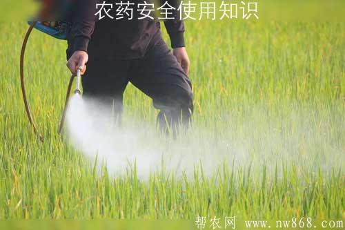 農藥安全使用知識——農藥使用過程中的失誤與對策 農藥安全使用知識——農藥使用過程中的失誤與對策