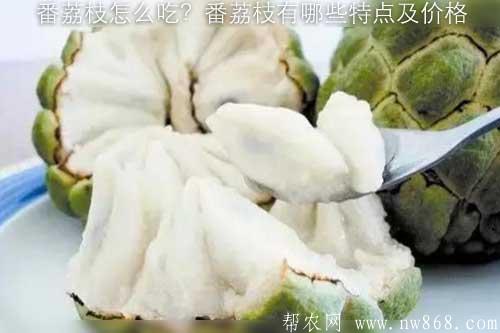 番荔枝怎么吃?番荔枝有哪些特點(diǎn)及價(jià)格 番荔枝怎么吃?番荔枝有哪些特點(diǎn)及價(jià)格